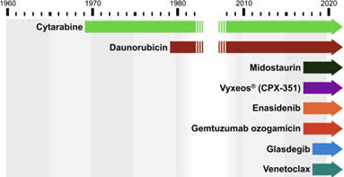 AML Survival Rate